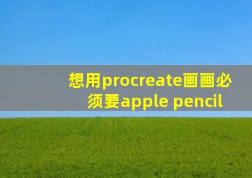 想用procreate画画必须要apple pencil